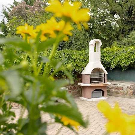 Ferienhaus Am Bergeshang Blankenburg  Exteriör bild