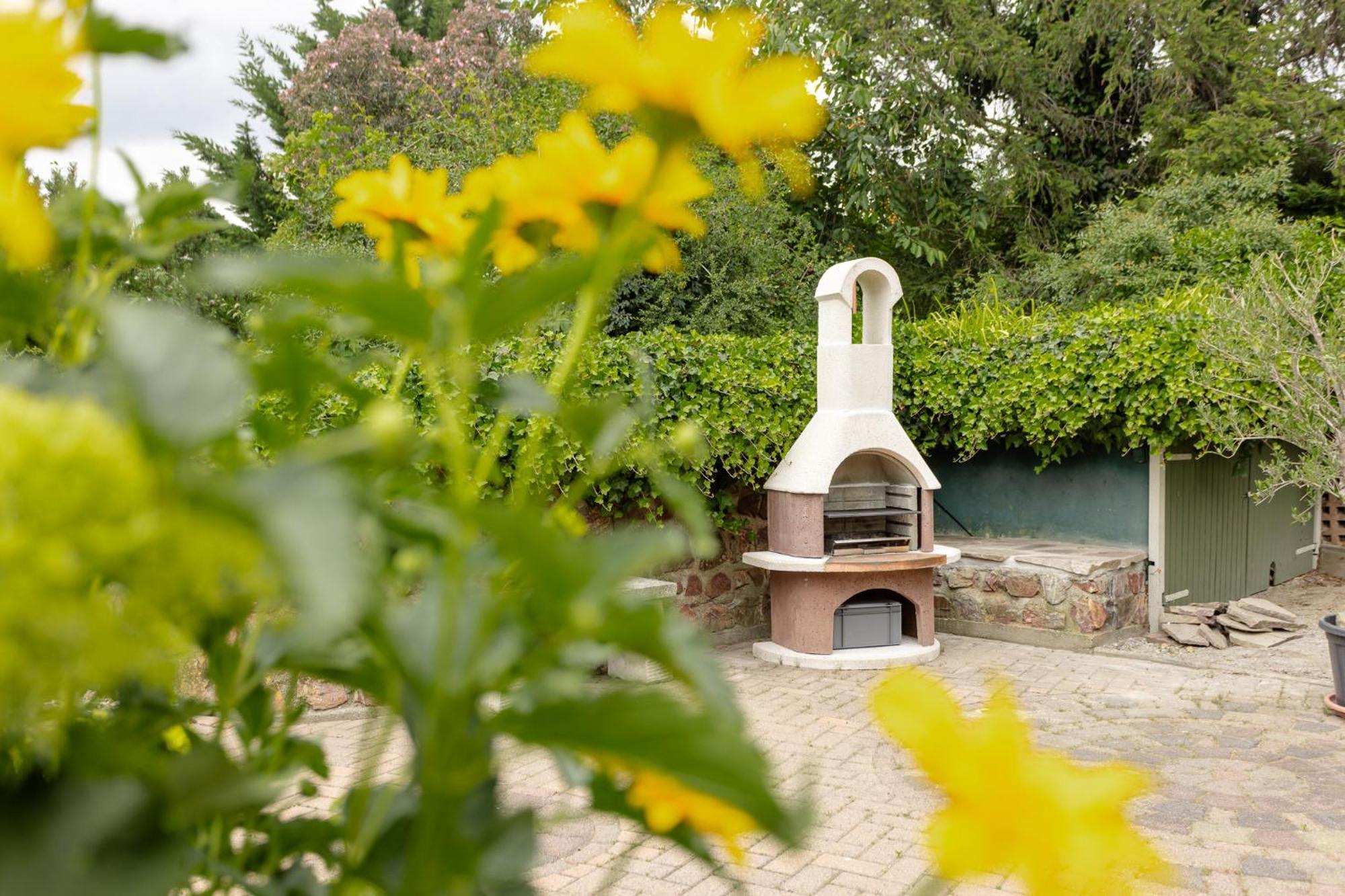 Ferienhaus Am Bergeshang Blankenburg  Exteriör bild